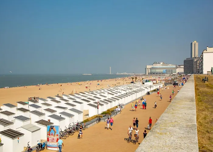Near Belgian Coast With Sea View
