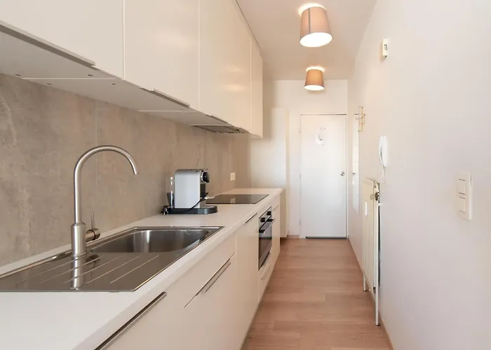 Near Belgian Coast With Sea View