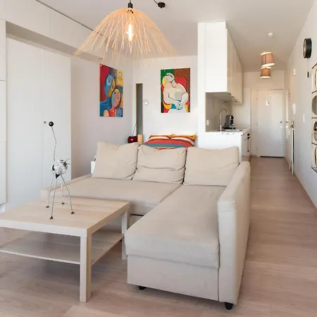 Near Belgian Coast With Sea View *